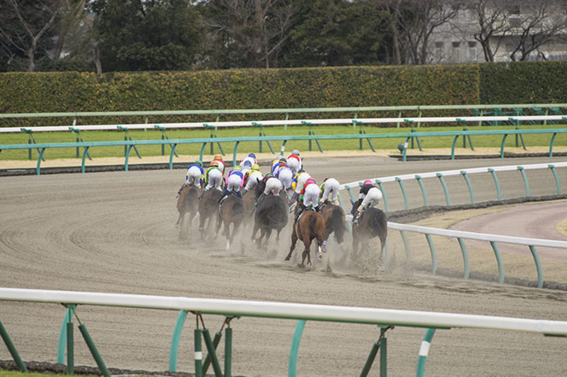 阪神大賞典 2023 データ分析 注目馬 軸馬