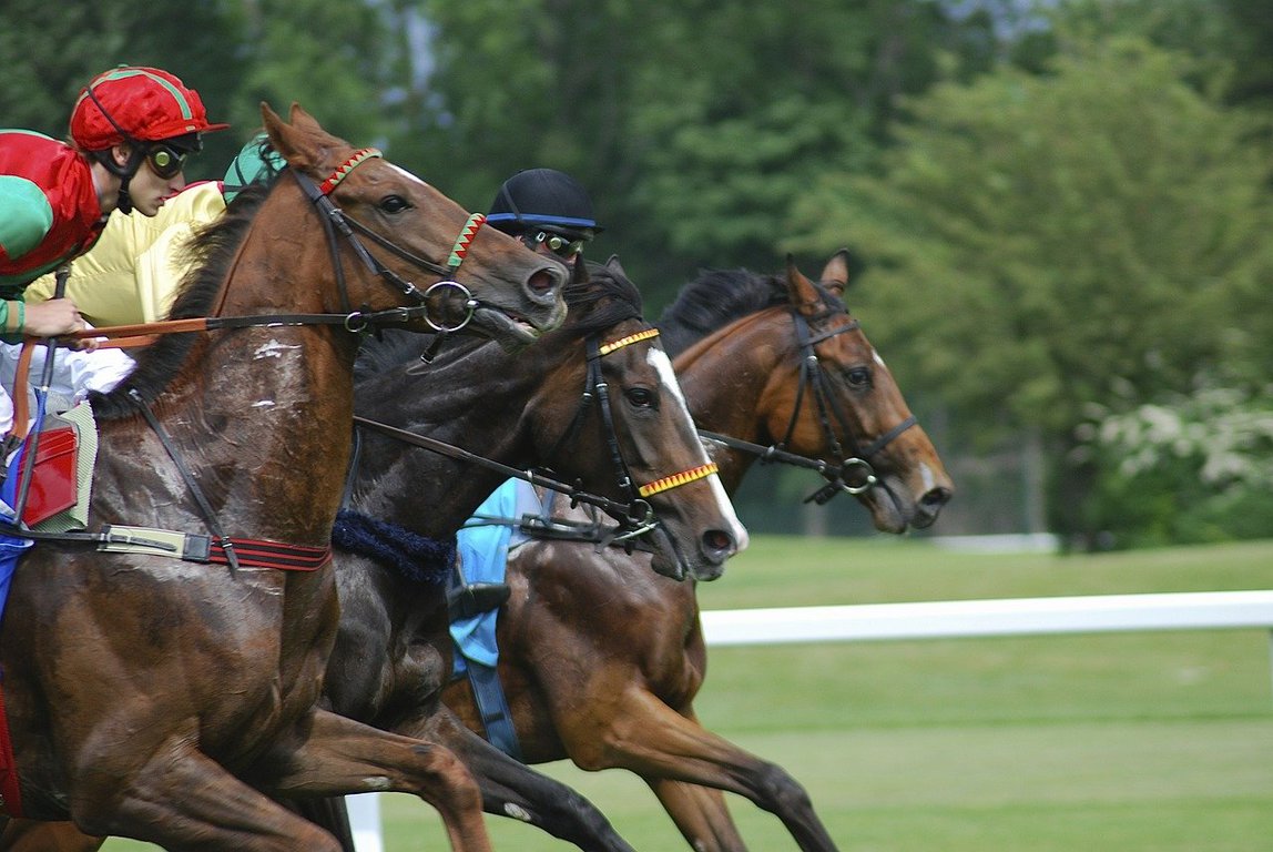 エスポワールシチー産駒の特徴｜得意なコースや距離、重馬場適性や血統分析