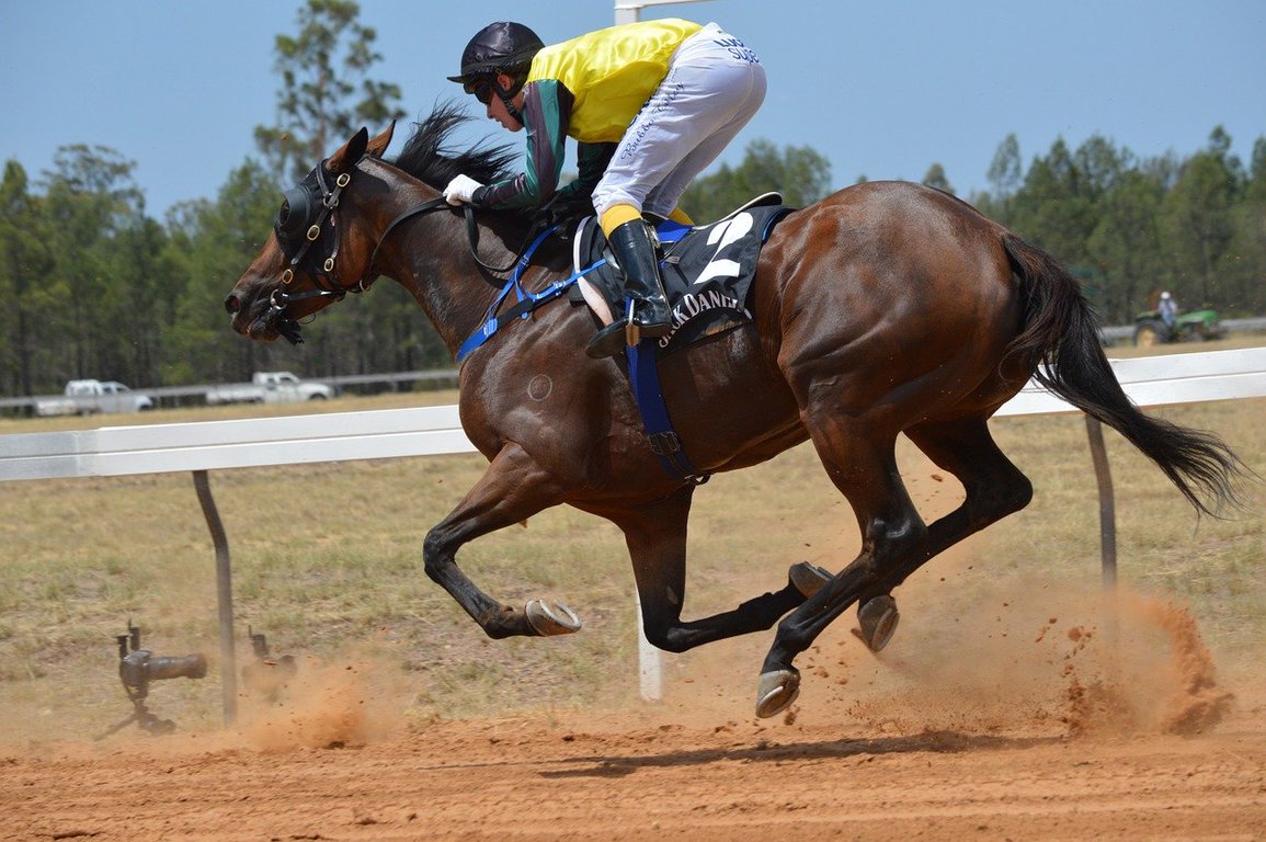 エスポワールシチー産駒の特徴｜得意なコースや距離、重馬場適性や血統分析