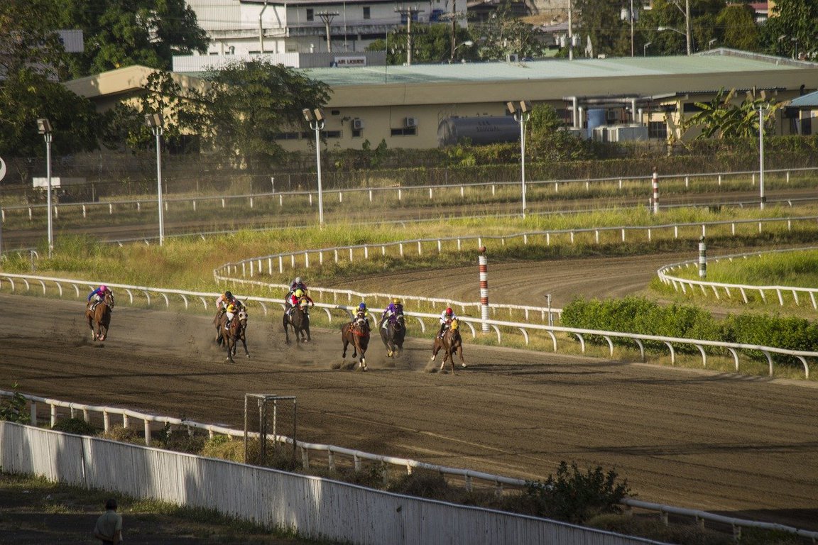 【皐月賞2022予想】速い馬が勝つ、適性通りの走りを見せるのは…？